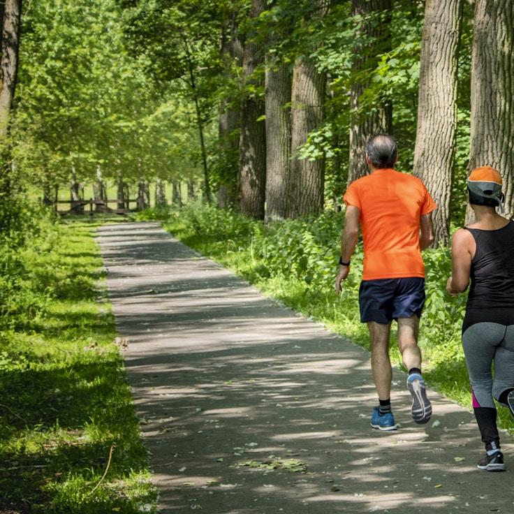 Modern fitness club interior